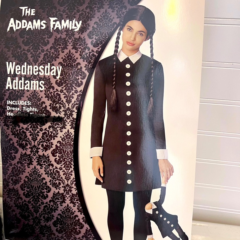 - Spirit The Addams Family Wednesday Addams costume size L 12-14